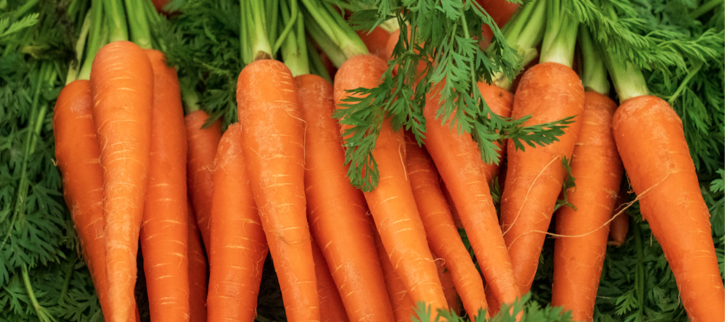 Carrot recipes